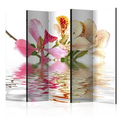 Ширма - Tropical flowers orchid tree (bauhinia) [Комнатные перегородки] цена и информация | Мобильные стенки | 220.lv