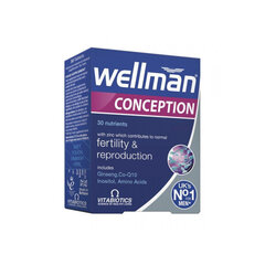 Таблетки WELLMAN CONCEPTION, 30 шт. цена и информация | Витамины, пищевые добавки, препараты для хорошего самочувствия | 220.lv