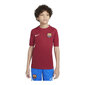 Bērnu futbola krekls ar īsām piedurknēm Nike FC Barcelona, tumši sarkans cena un informācija | Futbola formas un citas preces | 220.lv