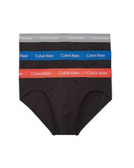 Vīriešu apakšbikses Calvin Klein Underwear, 3 gab. цена и информация | Мужские трусы | 220.lv