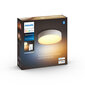 Philips Hue griestu lampa Enrave S цена и информация | Griestu lampas | 220.lv