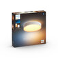 Philips Hue griestu lampa Enrave M цена и информация | Griestu lampas | 220.lv