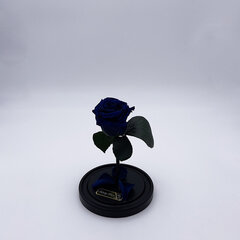 Роза в колбе S, Синяя (20 см выс. / 12,5 см шир.) цена и информация | Спящие стабилизированные розы, растения | 220.lv