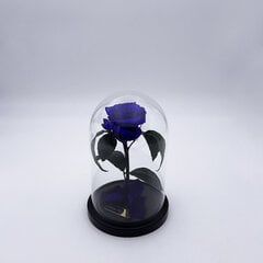 Roze stikla kolbā S, Violeta (20 cm aug. / 12,5 cm plat.) cena un informācija | Stabilizētās rozes, augi | 220.lv