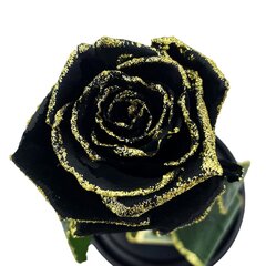 Роза в колбе S, Черная Gold (20 см выс. / 12,5 см шир.) цена и информация | Спящие стабилизированные розы, растения | 220.lv