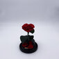 Roze stikla kolbā S, Sirds formā (20 cm aug. / 12,5 cm plat.) cena un informācija | Stabilizētās rozes, augi | 220.lv