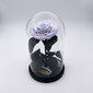 Roze stikla kolbā M, Lavandas krāsā (25 cm aug. / 15 cm plat.) cena un informācija | Stabilizētās rozes, augi | 220.lv