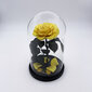 Roze stikla kolbā M, Dzeltena (25 cm aug. / 15 cm plat.) cena un informācija | Stabilizētās rozes, augi | 220.lv