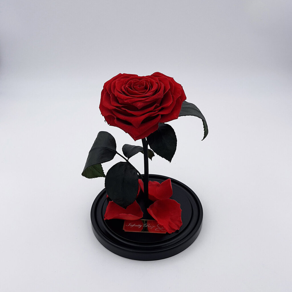 Roze stikla kolbā M, Sirds formā (25 cm aug. / 15 cm plat.) цена и информация | Stabilizētās rozes, augi | 220.lv