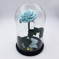 Roze stikla kolbā L, Gaiši zila (30 cm aug. / 19 cm plat.) cena un informācija | Stabilizētās rozes, augi | 220.lv