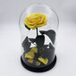 Roze stikla kolbā L, Dzeltena (30 cm aug. / 19 cm plat.) cena un informācija | Stabilizētās rozes, augi | 220.lv