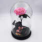 Roze stikla kolbā L, Rozā (30 cm aug. / 19 cm plat.) цена и информация | Stabilizētās rozes, augi | 220.lv