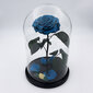 Roze stikla kolbā L, Tiffani krāsā (30 cm aug. / 19 cm plat.) cena un informācija | Stabilizētās rozes, augi | 220.lv