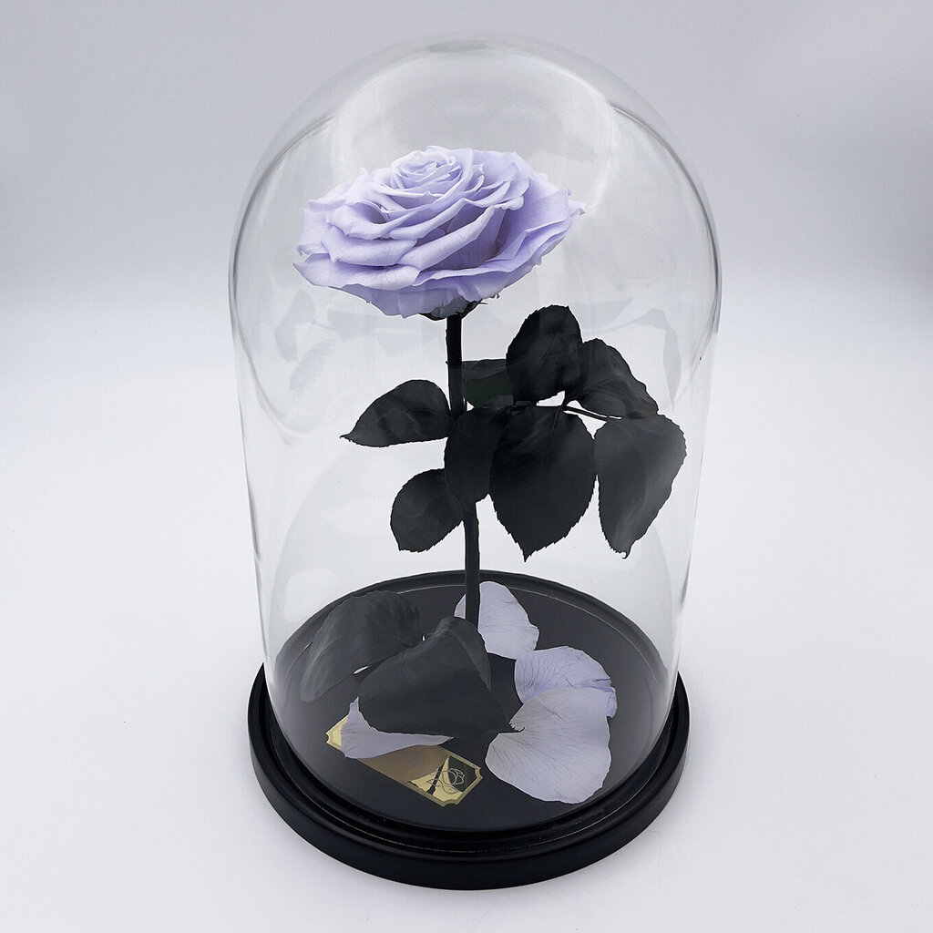 Roze stikla kolbā L, Lavandas krāsā (30 cm aug. / 19 cm plat.) cena un informācija | Stabilizētās rozes, augi | 220.lv