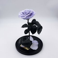 Roze stikla kolbā L, Lavandas krāsā (30 cm aug. / 19 cm plat.) cena un informācija | Stabilizētās rozes, augi | 220.lv