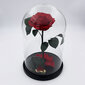 Roze stikla kolbā L, Sarkana (30 cm aug. / 19 cm plat.) cena un informācija | Stabilizētās rozes, augi | 220.lv