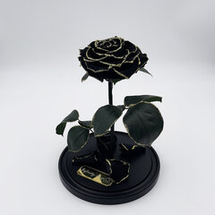 Roze stikla kolbā L, Melna Gold (30 cm aug. / 19 cm plat.) cena un informācija | Stabilizētās rozes, augi | 220.lv