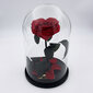 Roze stikla kolbā L, Sirds formā (30 cm aug. / 19 cm plat.) cena un informācija | Stabilizētās rozes, augi | 220.lv