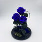 Roze stikla kolbā Trinity, Violeta (30 cm aug. / 19 cm plat.) cena un informācija | Stabilizētās rozes, augi | 220.lv
