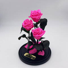 Roze stikla kolbā Trinity, Spilgti rozā (30 cm aug. / 19 cm plat.) cena un informācija | Stabilizētās rozes, augi | 220.lv