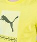 Puma bērnu T-krekls Active Sports Graphic 846993*29, salātu zaļš 4064535648270 цена и информация | Zēnu krekli | 220.lv
