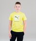 Puma bērnu T-krekls Active Sports Graphic 846993*29, salātu zaļš 4064535648270 cena un informācija | Zēnu krekli | 220.lv