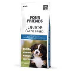 FourFriends Junior Large Breed bezglutēna sausā barība jauniem lielo šķirņu suņiem ar vistas gaļu, 12 kg цена и информация | Сухой корм для собак | 220.lv