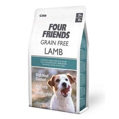 FourFriends Lamb Grain Free monoproteīna bezgraudu sausā barība alerģiskiem suņiem ar jēra gaļu, 3 kg cena un informācija | Sausā barība suņiem | 220.lv