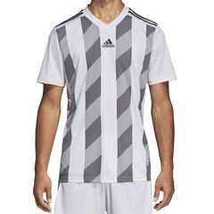Футболка для мужчин Adidas Striped 19, белая цена и информация | Мужская спортивная одежда | 220.lv