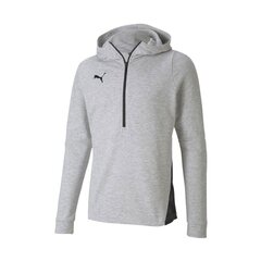 Джемпер для мужчин Puma teamFinal 21 цена и информация | Мужская спортивная одежда | 220.lv