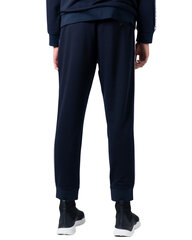 Мужские повседневные брюки Armani Exchange BFNG183929 цена и информация | Мужская спортивная одежда | 220.lv