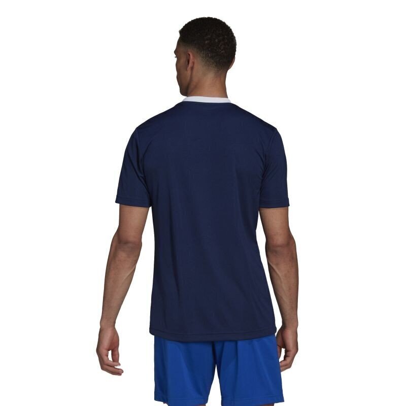 Sporta T-krekls vīriešiem Adidas Entrada 22 M HE1575, zils цена и информация | Sporta apģērbs vīriešiem | 220.lv