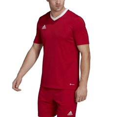 Sporta T-krekls vīriešiem Adidas Entrada 22 M H61736, sarkans cena un informācija | Sporta apģērbs vīriešiem | 220.lv