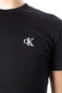 T-krekls vīriešiem Calvin Klein Jeans, melns cena un informācija | Vīriešu T-krekli | 220.lv