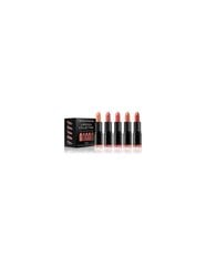 Revolution PRO lūpu krāsu komplekts (Lipstick Collection), 5 x 3.2 g cena un informācija | Lūpu krāsas, balzāmi, spīdumi, vazelīns | 220.lv