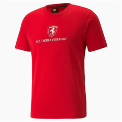 Vīriešu T-krekls ar īsām piedurknēm Puma Race Graphic, sarkans S6437311 cena un informācija | Sporta apģērbs vīriešiem | 220.lv