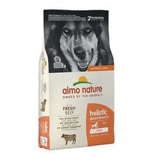 Almo Nature Holistic Maintenance L izmēra suņiem, ar liellopu gaļu, 12kg. cena un informācija | Sausā barība suņiem | 220.lv