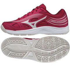Кроссовки женские Mizuno Cyclone Speed 3 W V1GC218064 цена и информация | Спортивная обувь, кроссовки для женщин | 220.lv