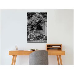 Картина Bicycle and Flowers цена и информация | Картины | 220.lv