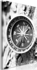 Картина Black and White Compass цена и информация | Картины | 220.lv