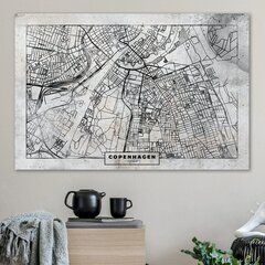 Attēls uz korķa - Copenhagen Plan [Cork Map] cena un informācija | Gleznas | 220.lv