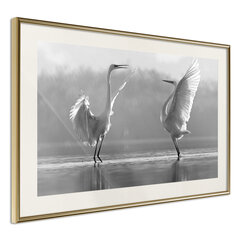 Plakāts - Black and White Herons cena un informācija | Gleznas | 220.lv