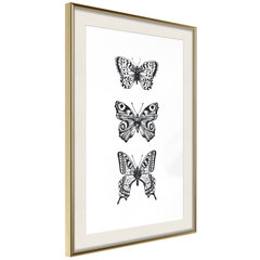 Плакат Коллекция бабочек, золотая рамка с паспарту цена и информация | Картины | 220.lv