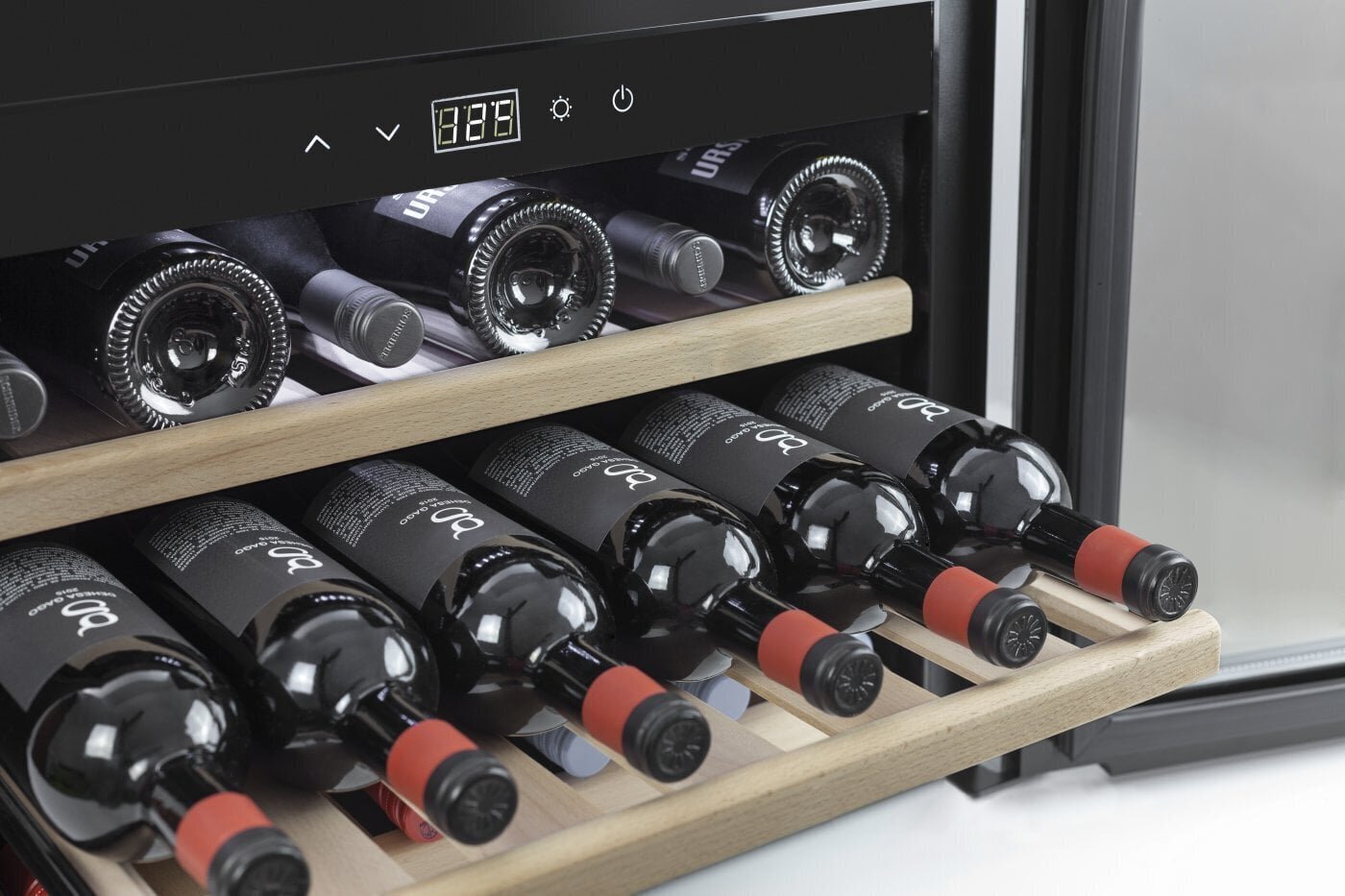 Caso WineSafe 18 EB цена и информация | Vīna ledusskapji | 220.lv