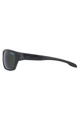 Солнцезащитные очки Oneill цена и информация | Солнцезащитные очки для мужчин | 220.lv
