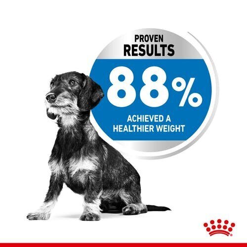 Royal Canin suņiem, kuriem ir tendence pieņemties svarā Mini Light Weight Care, 1 kg цена и информация | Sausā barība suņiem | 220.lv
