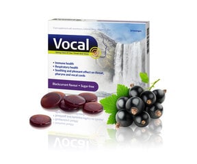 Sūkājamās pastilas, Vocal Blackcurrant past. bez cukura, N24 cena un informācija | Vitamīni, preparāti, uztura bagātinātāji labsajūtai | 220.lv
