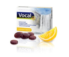 Sūkājamās pastilas, Vocal Lemon past. bez cukura, N24 cena un informācija | Vitamīni, preparāti, uztura bagātinātāji labsajūtai | 220.lv