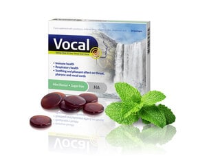 Сосательные пастилки со вкусом мяты VOCAL, 24 шт. цена и информация | Витамины, пищевые добавки, препараты для хорошего самочувствия | 220.lv