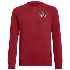 Džemperis bērniem Adidas Arsenal FC Crew Sweat Jr GR4218, sarkans cena un informācija | Zēnu jakas, džemperi, žaketes, vestes | 220.lv